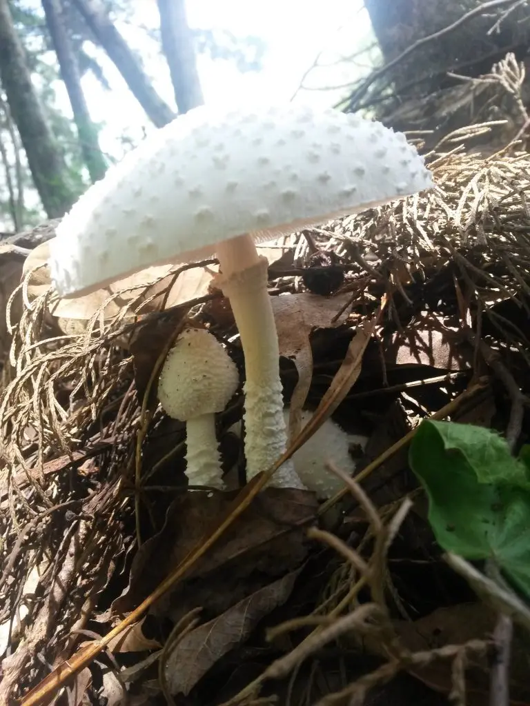 20150616_103736