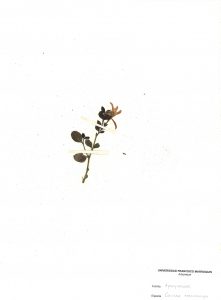 20210707104555_00013